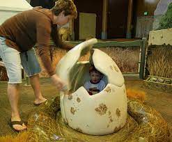 Zoomazium Woodland Park Zoo Zoos And Aquariums Exhibit Design Interpretive Planning Aldrichpears Associates 03 Exhibition Design Childrens Museum Exhibition