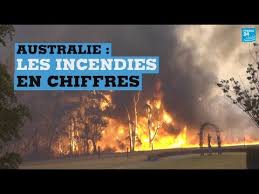 We did not find results for: Australie Les Incendies En Chiffres Youtube