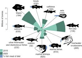 Notre recommandation 1 bon d'achat de 100€ en cadeau sur l'achat d'1 article de la marque le premier est gratuit et vous permet de cumuler des points et de profiter de réductions. The Future Of Aquatic Protein Implications For Protein Sources In Aquaculture Diets Sciencedirect