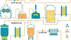 Brewing Beer Production Process Online Biology Notes