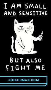 I Am Small And Sensitive But Also Fight Me Cat T Shirts Lookhuman Fight Me Meme Therapy Cat Cat Memes