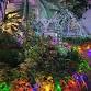 Conservatory of Lights