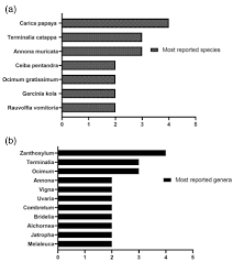 Image result for Scepocarpus hypselodendron