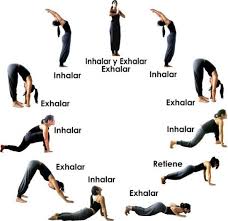 Surya Namaskar Easy Yoga Workouts Yoga Asanas Kundalini Yoga