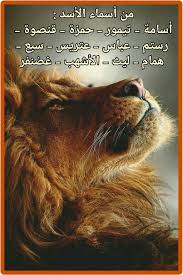 من أسماء الأسد في اللغة العربية