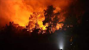 Incendios forestales azotan a australia. Incendios Forestales En Australia Contaminan La Ciudad De Sidney