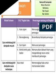 Untuk membuat nama perusahaan yang bagus dan yang belum terpakai, tipsnya adalah dengan menggunakan sinonim dari. 3 Nama Haiwan Yang Memancutkan Dakwat Aretu