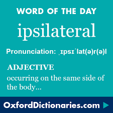Ipsilateral Adjective Belonging To Or Occurring On The Same Side Of The Body Word Of The Day For 1 October 2015 Wotd Wordoftheda Palabras Lexico Nombres