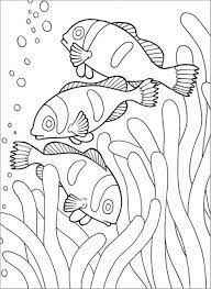 Get the markers out and make an average day a little more magical (for free!) by printing out a few of our favorite fairy, rainbow, and baby unicorn coloring pages. Clown Fish Coloring Pages Printable Coloringbay