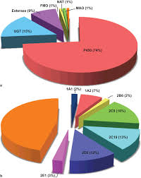We would like to show you a description here but the site won't allow us. Human Cytochrome P450 Enzymes Springerlink