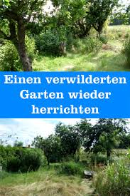 Steingärten schmücken die dörfer im gebirge. Einen Verwilderten Garten Wieder Herrichten Gartenbob De Der Garten Ratgeber