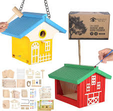 Building a birdhouse can be fun family project. Buy Nanayo Wild Birds Diy Bird House Kit For Kids To Build Birdhouse And Bird Feeder Wood Building Kits With Hanging Chain And Rope Mallet Paints And Brushes Sandpaper Glue And