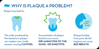 Armandhammer.com has been visited by 10k+ users in the past month How To Remove Plaque From Teeth Crest