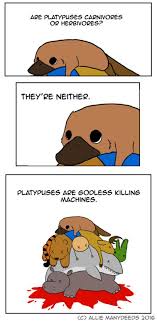 Itsnoisy Funny Comics Funny Memes Platypus