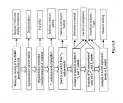 Explicit The Endomembrane System Flow Chart 2019