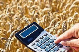 Potrivit ordonantei de urgenta adoptata de guvern toti posesorii de masini din romania care nu au timbrul de mediu se calculeaza in functie de norma de poluare, emisia de co2 inscrisa in cartea de identitate a masinii si capacitatea cilindrica a masinii. Ce Trebuie SÄ Ètii Despre Impozitul Pe Norma De Venit In AgriculturÄ Cine Il PlÄteÈte Cum Se CalculeazÄ Èi Ce DeclaraÈii Se Depun La Anaf