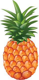Pineapple Png Image Free Download Pink Flamingo Party Pineapple Pineapple Images