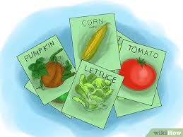 You can find a porous potting soil mix at most garden supply stores. How To Start A Vegetable Garden 15 Steps With Pictures