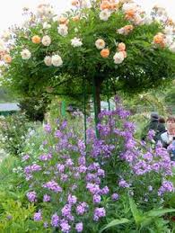 Buy original art worry free with our 7 day money back guarantee. 370 Monet S Garden Ideas Giverny Monet Garden