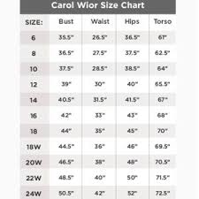 Carol Wior Slimsuit One Piece Swimsuit Nwt