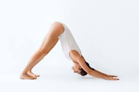 More images for adho mukha svanasana steps » How To Do Downward Facing Dog Pose Adho Mukha Svanasana Yoga Practice