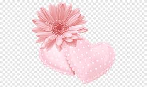 We did not find results for: Animasi Gfycat Animasi Kartun Bunga Png Pngegg