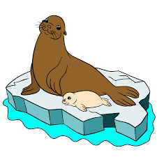 Ejemplos de animales con respiración cutánea : Animales De Dibujos Animados Madre Piel De Foca Con Su Pequeno Bebe Lindo De Bata Blanca En La Placa De Hielo En El Oceano Ilustraciones Vectoriales Clip Art Vectorizado Libre De Derechos