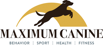 Dog Training, Natural Dog Food, and Dog Sport Supplies in Long Island. 