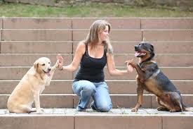 Das ganze land lag unter schnee; Verena Kretzer