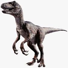 Raptor Dinosaur 3d Obj Raptor Dinosaur Dinosaur Pictures Dinosaur