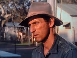 💗📽🎞Good Movie "Cool Hand Luke" 💗📽🎞(1967) Paul Newman. What's your  favorite Paul Newman movie?💗📽🎞