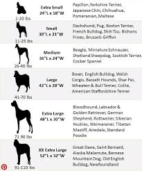 Pin By Jemma Obrien On Doggy Day Care Dog Size Chart