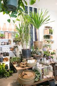 The Zen Succulent Plant Shop Buy Indoor Plants Artificial Indoor Plants Artificial Plants Outdoor