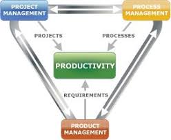 Business Process Management Certification Training Bpm Training Program Watermark Learning Business Process Management Business Analysis Business Process