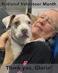 North Shore Animal League America