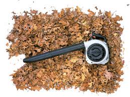 Once it's started, you can unplug and go. How To Choose And Use A Leaf Blower This Old House