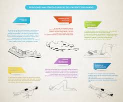 Las Posiciones Anatomicas Basicas Del Paciente Encamado En Una Infografia Cosas De Enfermeria Auxiliar De Enfermeria Enfermeria Basica
