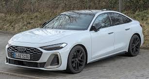 Image result for Arctic Silver 2005 1 Series