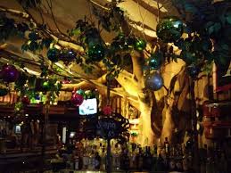 Not only is weather beautiful, but we've got that laid back coastal vibe that visitors adore. Bar Back View With A Tree Decorated Picture Of Fiddler S Green Restaurant San Diego Tripadvisor