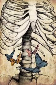 Check spelling or type a new query. You Still Give Me Butterflies Me Graphite Procreate 2019 Art