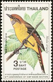 Bar Throated Minla Stamps Mainly Images Gallery Format Stamp Postage Stamps Postal Stamps