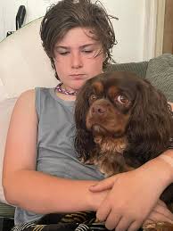 Funny pet names inspired by brands and their characteristics