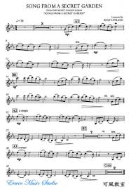 Song From A Secret Garden Violin