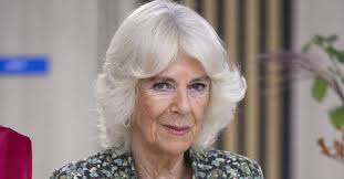 Queen Camilla Withdraws from Royal Variety Performance Due to Health Issues
