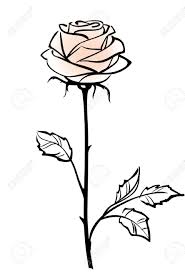 Check spelling or type a new query. Beautiful Single Pink Rose Flower Isolated On The White Background Flower Drawing Roses Drawing Rose Stencil