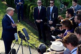 Image result for donald trump