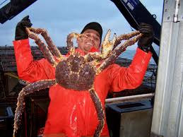 This can add up fast, especially if you have a lot of diners. King Crab Uncertainty As Coming Season Hinges On Biomass Calculations National Fisherman