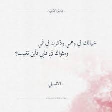 فلا تأمن الدنيا وإن هي أقبلت أبو تمام عالم الأدب Words Quotes Fabulous Quotes Queen Quotes