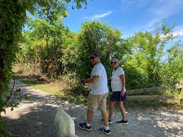 Lake Metroparks see record attendance, programming changes in wake of  pandemic