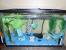 Japanese Themed Fish Tank